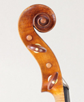 Sgarbi Scroll Bass Side